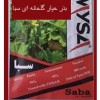 بذر خیار گلخانه ای سبا