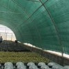 قیمت  توری شید گلخانه 09197443453