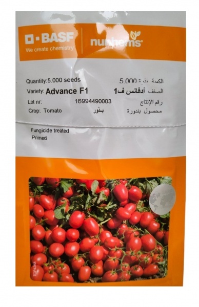 بذر گوجه فرنگی ادونس
