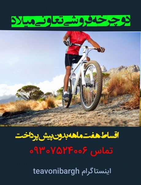 دوچرخه برندهای معتبر اصل تایوان