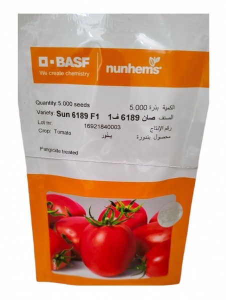 بذر گوجه فرنگی 6189
