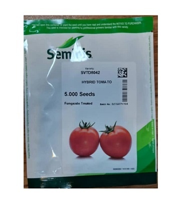 بذر گوجه 8042 سمینیس آمریکا
