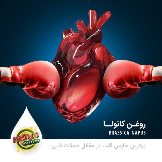 تولید کننده روغن های خوراکی