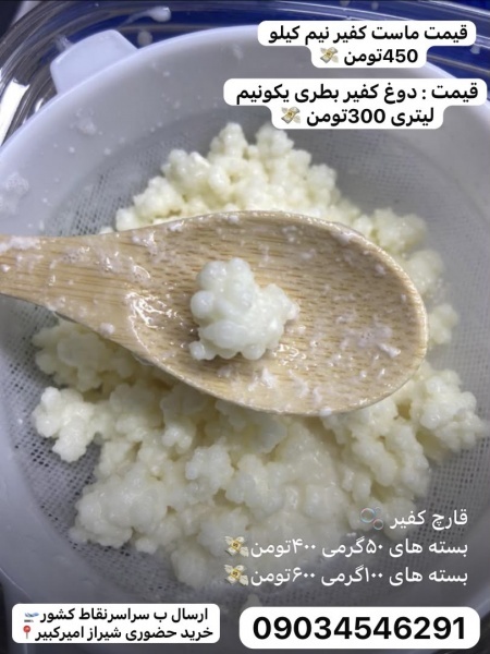 فروش قارچ کفیر اصل قفقازی