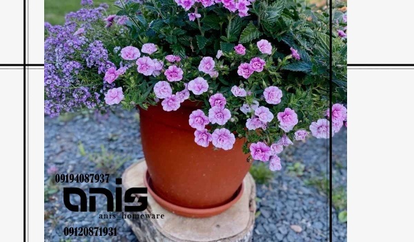 عرضه گلدان پلاستیکی رنگی ساده با قیمت مناسب
