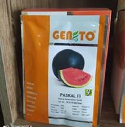 بذر هندوانه پر بار و گوشتی  پاسکال