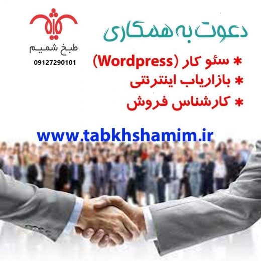 کارشناس سئو